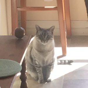 Meet your Posher, Eden